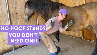 How to trim horse hooves WITHOUT a hoof stand