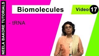 Biomolecules | NEET | tRNA | Neela Bakore Tutorials