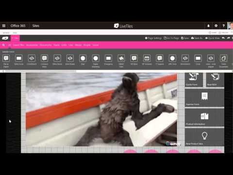 Embed a Giphy | LiveTiles Design