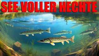 TOPWATER REGELT! ÜBER 20 BISSE! WAS HABEN WIR ALLES GEFANGEN?