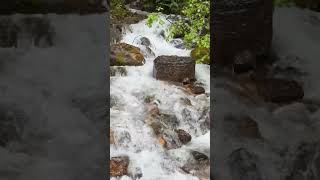 Relaxing spring run off #neature #waterfallsounds #waterfall #spring #summer #creek #summermorning