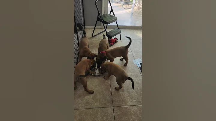 Six weeks old!