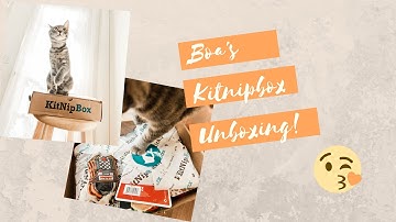 Unboxing My Kitnipbox! | Sept 2020
