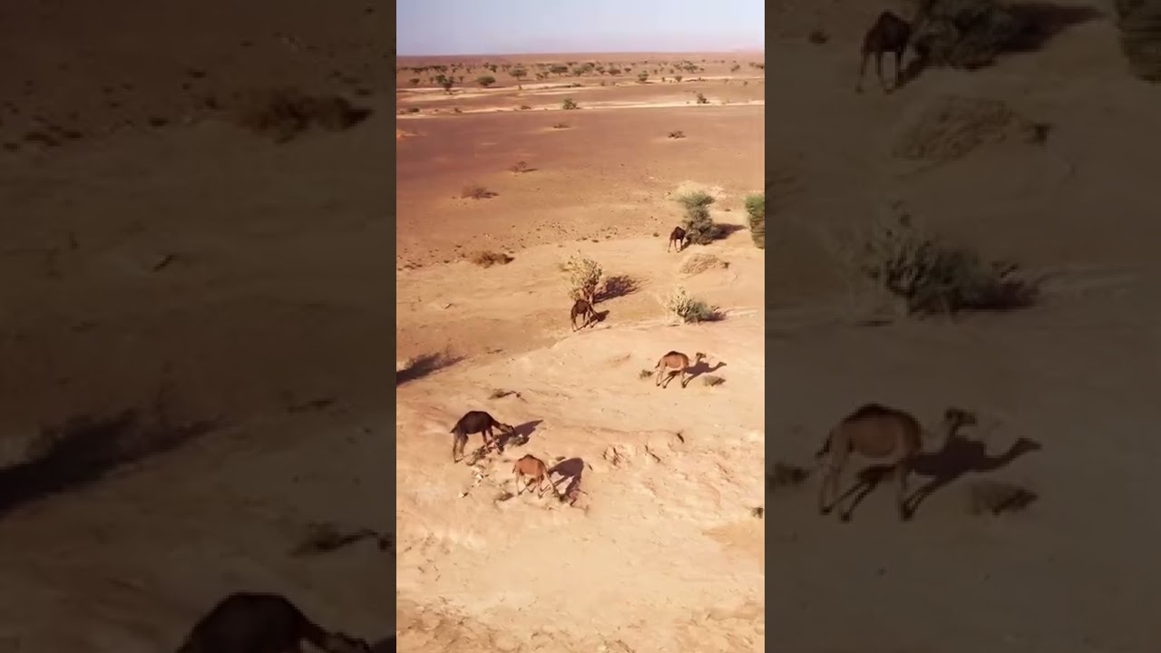 Fly with us through the STAGE 2 - wheelies, dunes and new friends on the way! 💪 