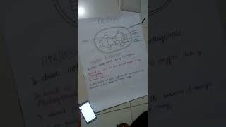 diagram design