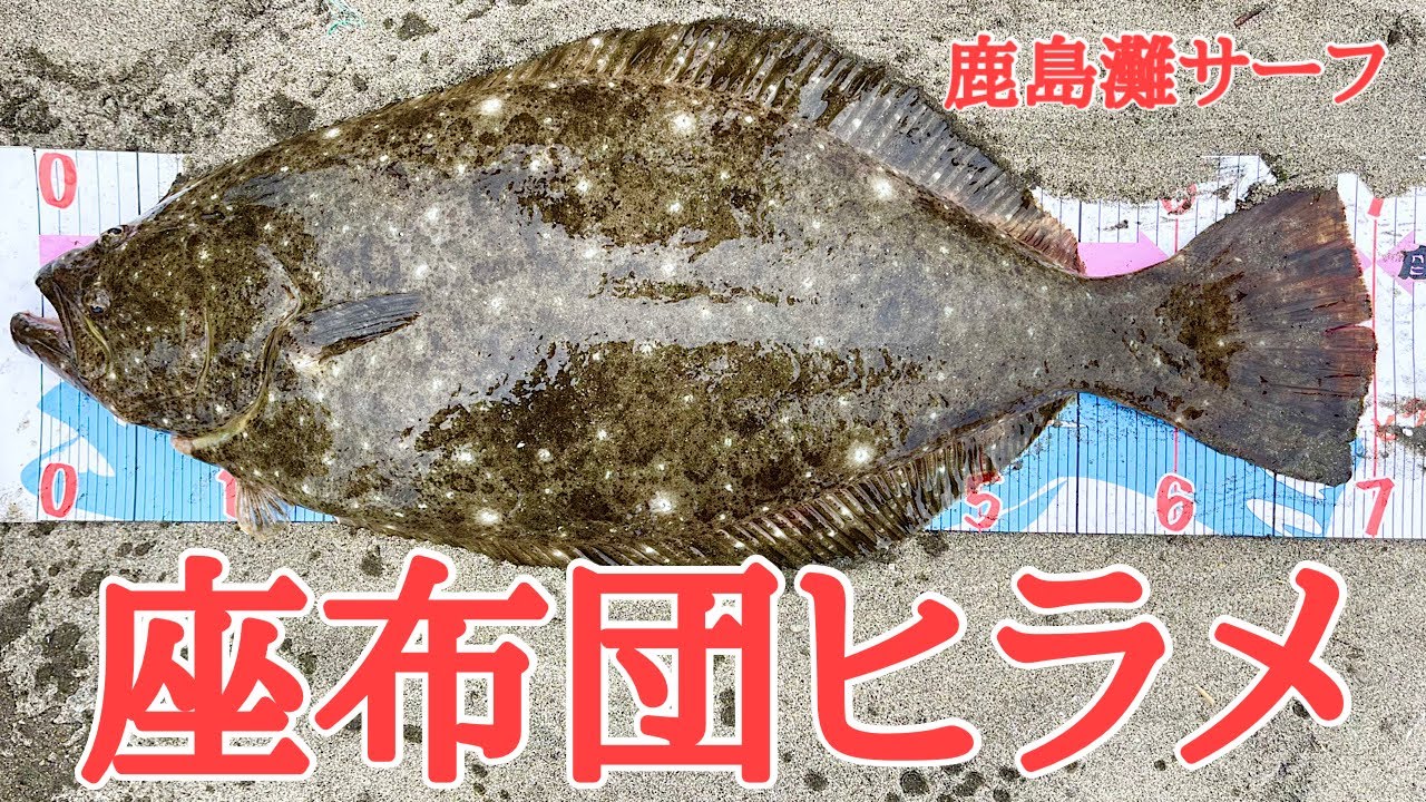 ヒラメ　ランドナー 自転車 ランドナー