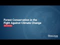 Forest Conservation in the Fight Against Climate Change