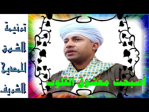 أصبحت معشوق القلوب الشيخ مصطفى جمال زهرة الإنشاد الديني 