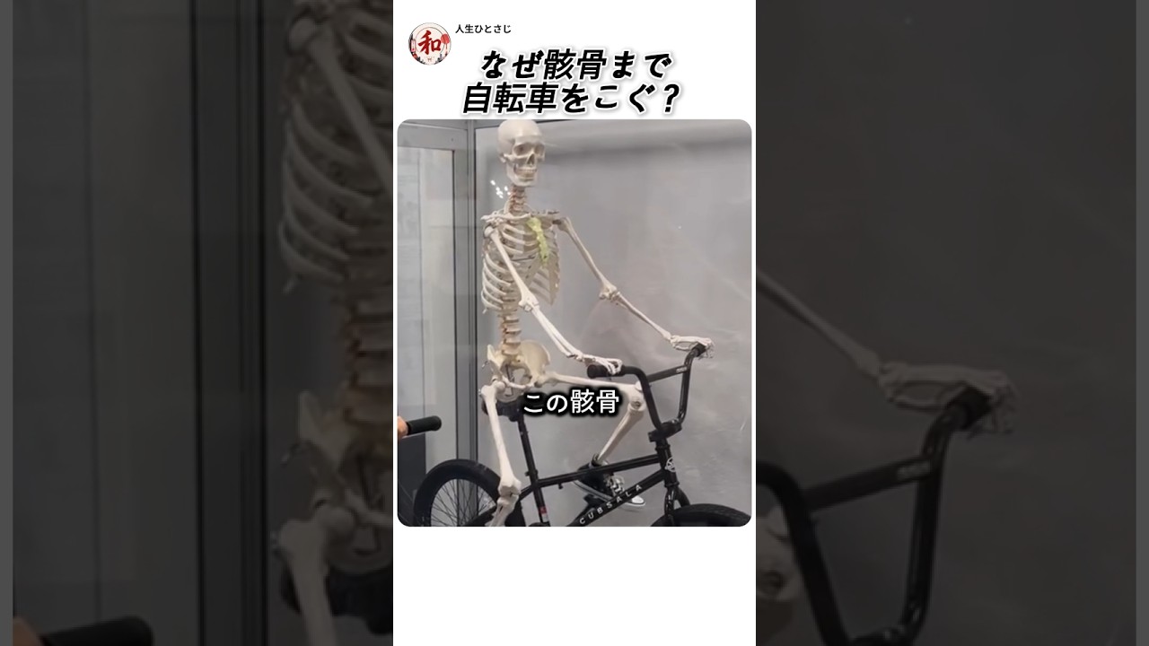 ペダルをこぐと骸骨も動く
