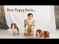 Dear Puppy Oasis - a message from a Cavalier King Charles Spaniel to baby brother Herky The Cavalier