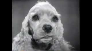 VINTAGE 1963 FRISKIES DOG FOOD COMMERCIAL