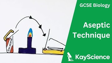 Culturing Microorganisms Required Practical (Aseptic Technique) - GCSE Biology | kayscience.com