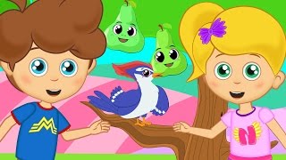 El Pajaro Carpintero Cancion Infantil Para Niños Los Amiguitos