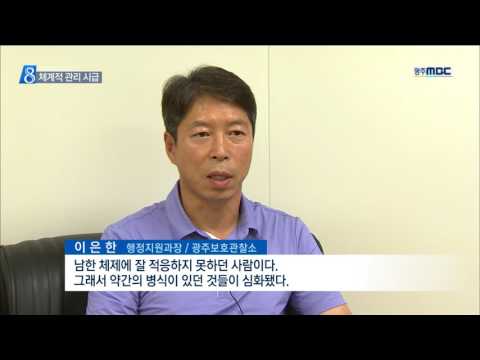 [뉴스데스크]'탈북-재입북-탈북'했는데..관리는?