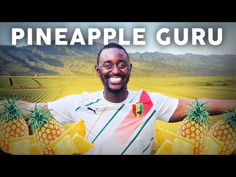 His Pineapple farm is making people rich In Africa