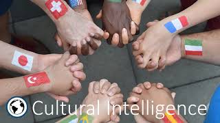 Newbies Guide to Global Virtual Teams: Key Competencies