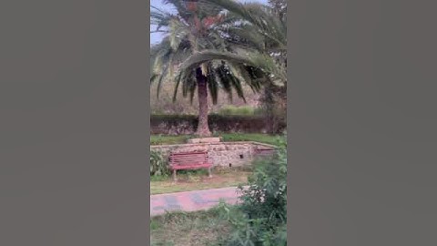 Asmara shkor 🇪🇷🇪🇷🇪🇷🇪🇷🇪🇷🇪🇷🇪🇷❤❣️❣️❣️❣️❣️❣️❣️