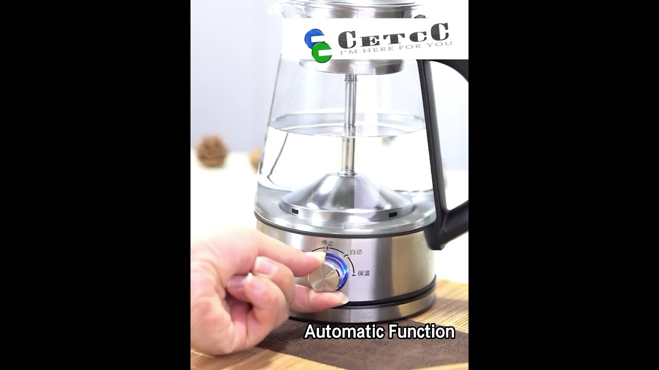 2 in 1 Multi-Function Electrical Tea Steamer 