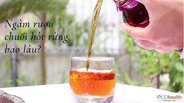 Ngâm rượu chuối hột rừng bao lâu?