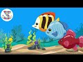Colección 8 de las mejores Canciones Infantiles con Zebra a Cuadritos I Nuevas canciones para niños