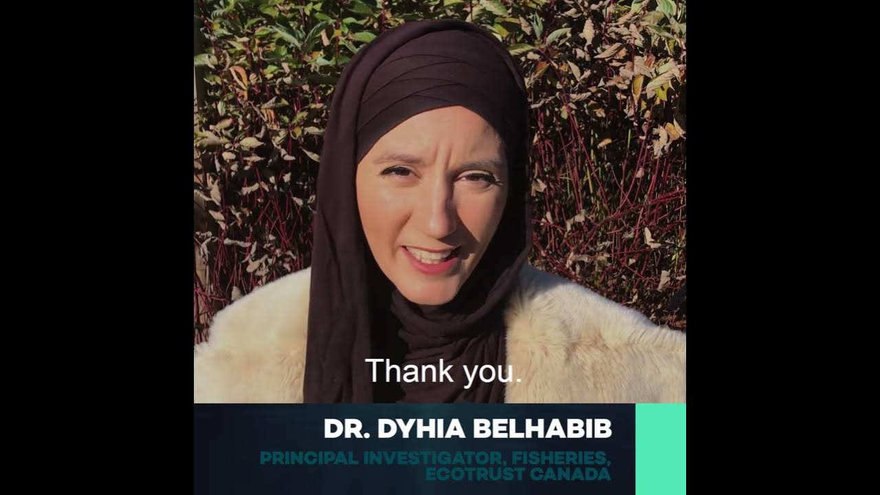 Stop funding overfishing reason 12 dr dyhia belhabib youtube