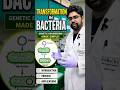 🔥 Transformation in Bacteria Made Easy | Genetic Engineering in Minutes 🧬