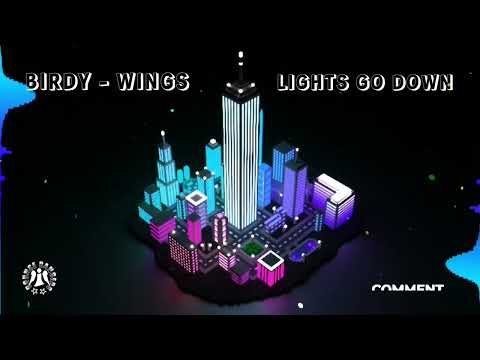 Birdy Wings Lights Go Down Motivate Bounce Remix 