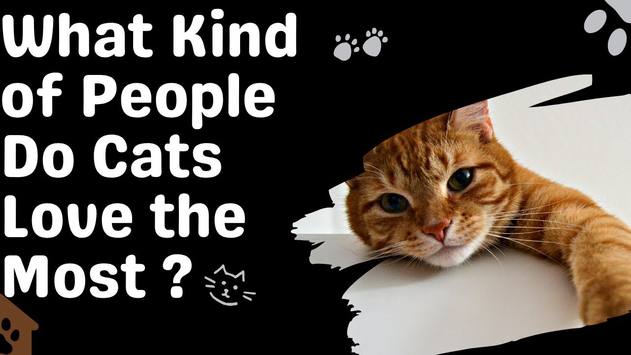 What Kind of People Do Cats Love the Most ?