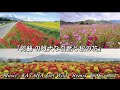 【阿蘇 の雄大な自然と秋の花】KATANA_Get Wild REMIX / βillyMix.vol.312