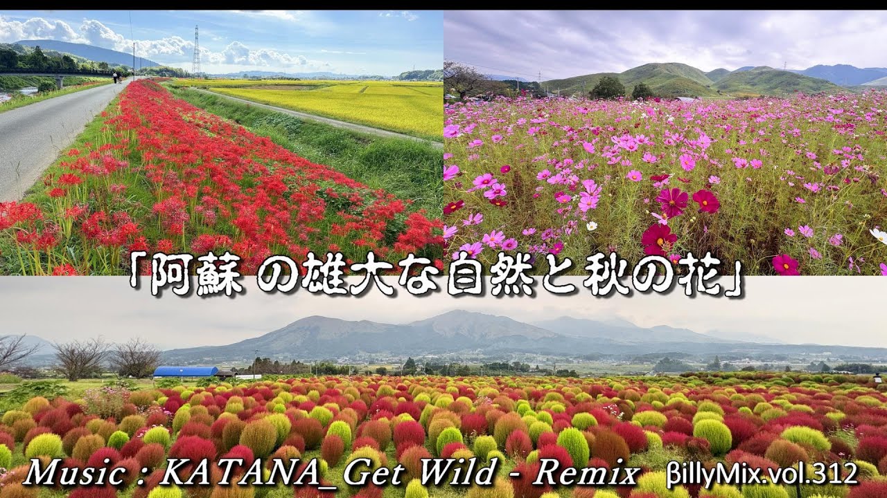 【阿蘇 の雄大な自然と秋の花】KATANA_Get Wild REMIX / βillyMix.vol.312