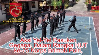 Aksi Yel-Yel Pasukan Gegana, Dalam Rangka HUT ke-75 Korps Brimob Polri, Satuan Brimob Polda Sulteng