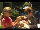 Raising a Puppy for Guide Dogs for the Blind Raising a Puppy for Guide Dogs for the Blind