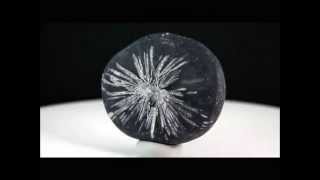 菊花石 原石 124g / Chrysanthemum Stone - YouTube