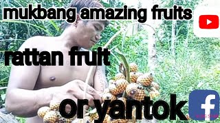 amazing fruits, rattan or yantok, @marcel TV
