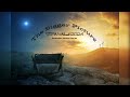 Where Our Hope is Found ~ The Bigger Picture | TCW Advent Sermon Supplemental