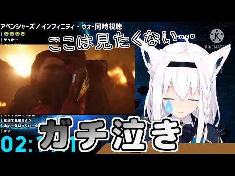 絶望すぎる結末にガチ泣きしてしまう白上フブキ【白上フブキ/アベンジャーズ／インフィニティ・ウォー/ ホロライブ/切り抜き】