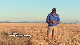 Arnott's Group Sustainability - Soft Wheat Story screenshot 3