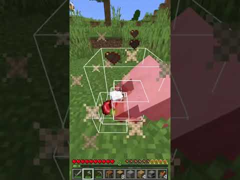 Minecraft Manhunt 1 Hunter Short