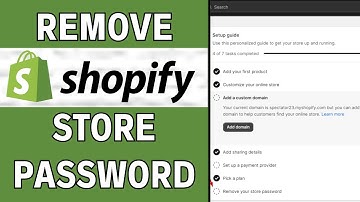 Hoe u de met een wachtwoord beveiligde pagina van Shopify uitschakelt (2025)