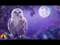 🔴 Sleep Music 24/7, Calming Music, Relaxing Music, Sleep, Meditation Music, Study, Sleeping Music