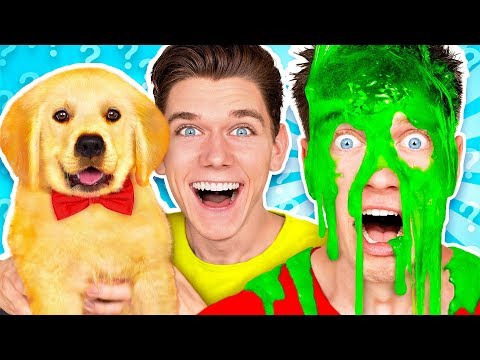 dogs-pick-our-mystery-slime-challenge!-learn-how-to-make-the-best-diy-funny-switch-up-oobleck-game