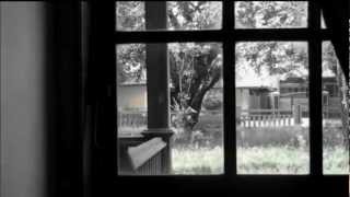 BIG DODO -official trailer-.flv