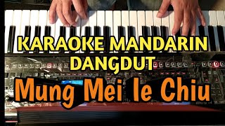 Mung Mei Ie Chiu  - Andy Lau || Karaoke Mandarin Dangdut Koplo