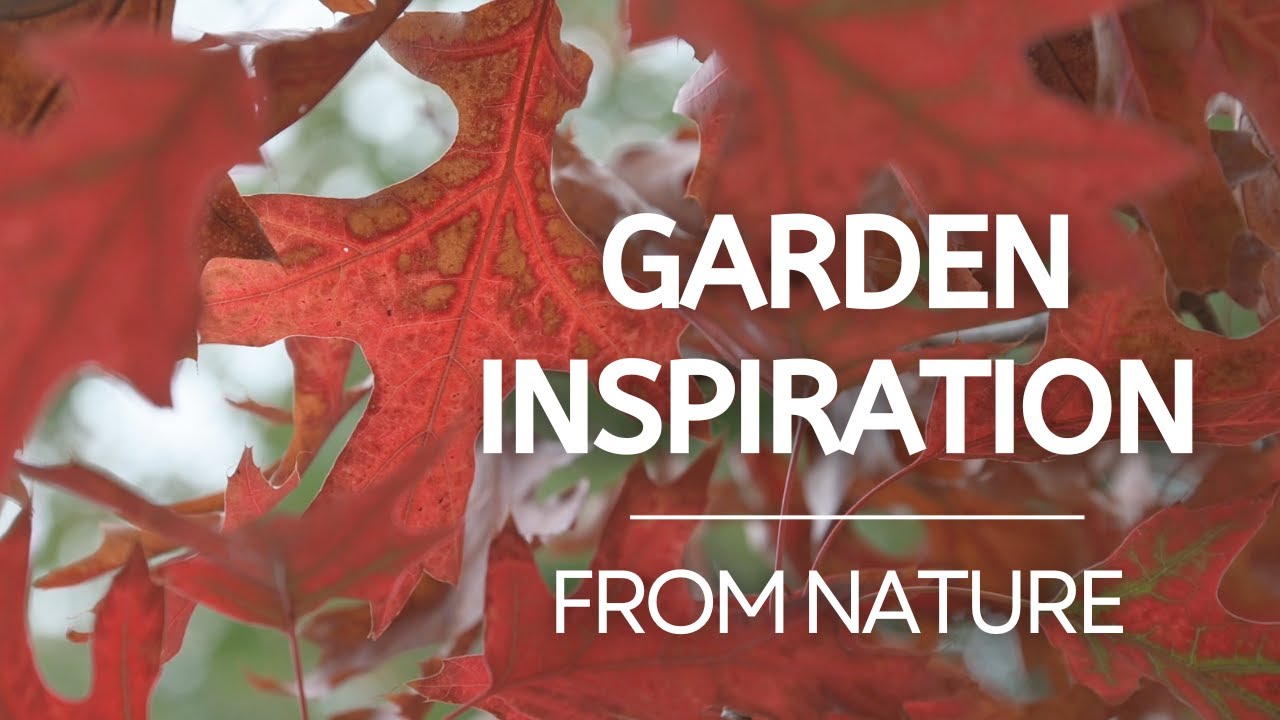 Вдохновение для сада, почерпнутое из природы.