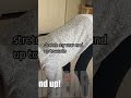 With a small arch in the low back and straight spine bending is powerful! #therapeuticmovement