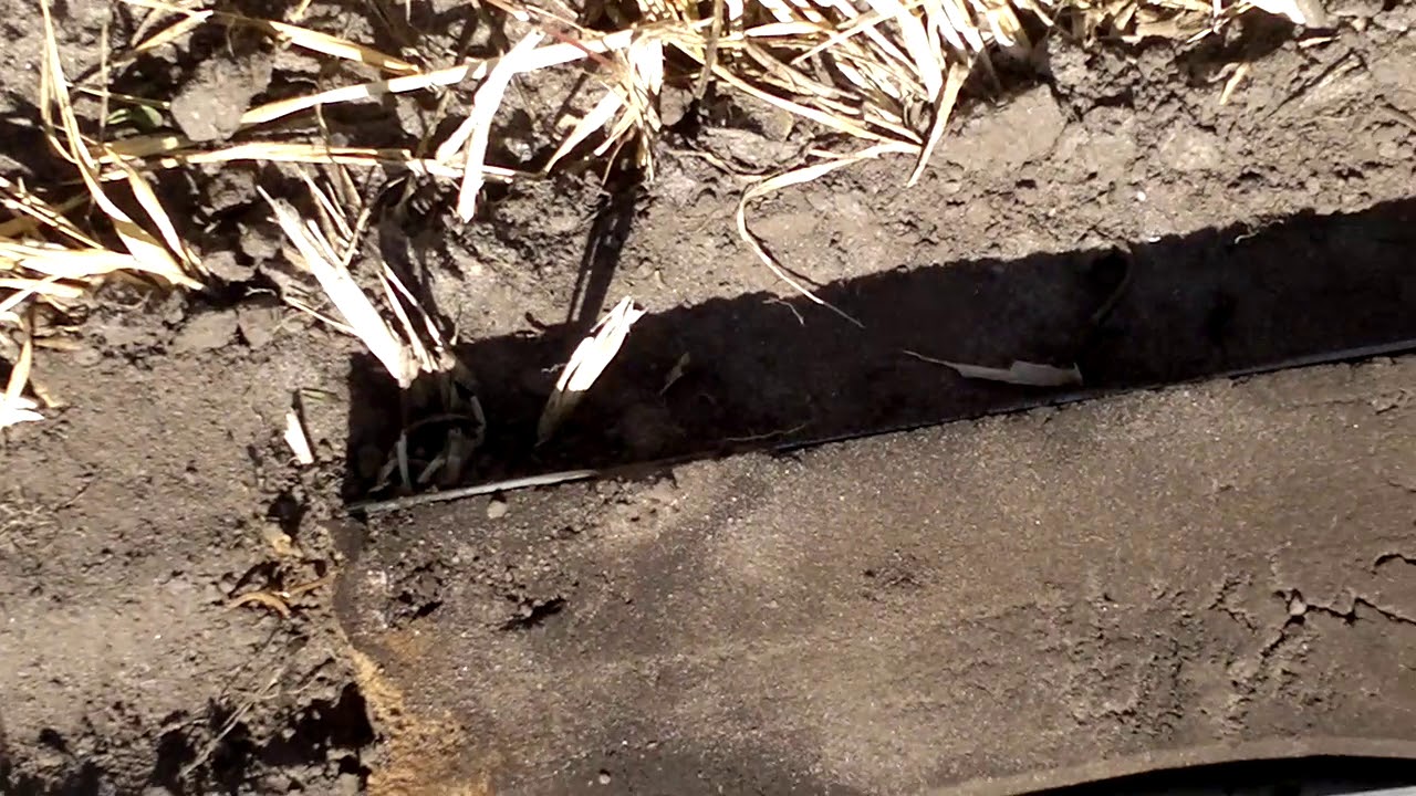 NL | Een prachtige profielspade