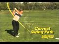 Does The Momentus Swing Trainer Work
