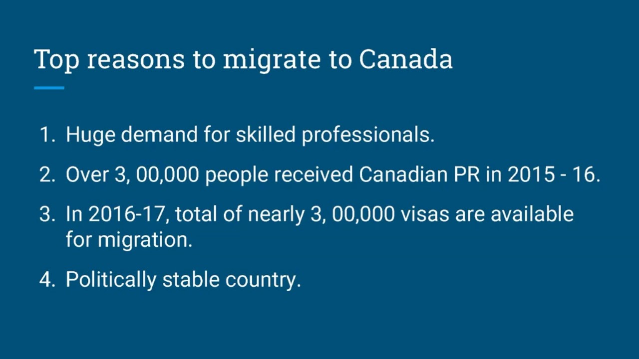 rudraksh group immigration | Rudraksh Group | Rudraksh Group Mohali | Rudraksh Immigration