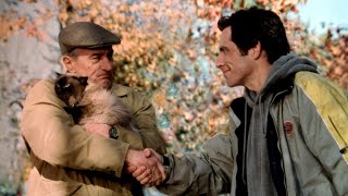 Tribeca Festival Returns: Hollywood Reunions & Classic Screenings