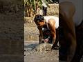 পুকুরের ধরা পরল বিশাল কাতলা মাছ #entertainment #comedy
